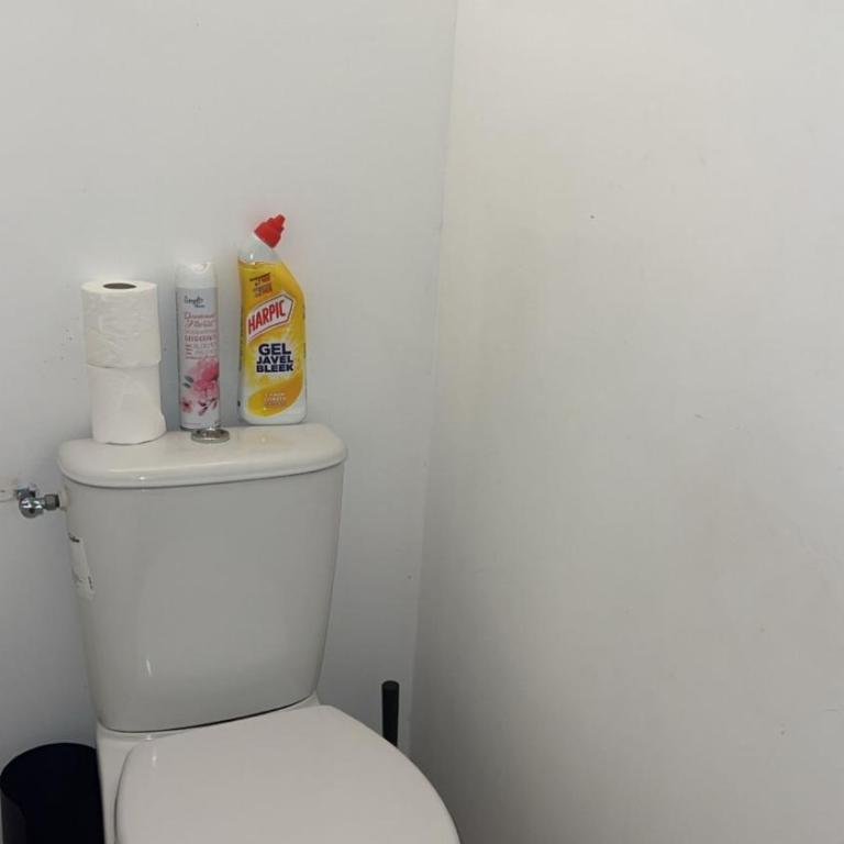 Superbe Appart Rustique - Appartement 1 Chambre - 21