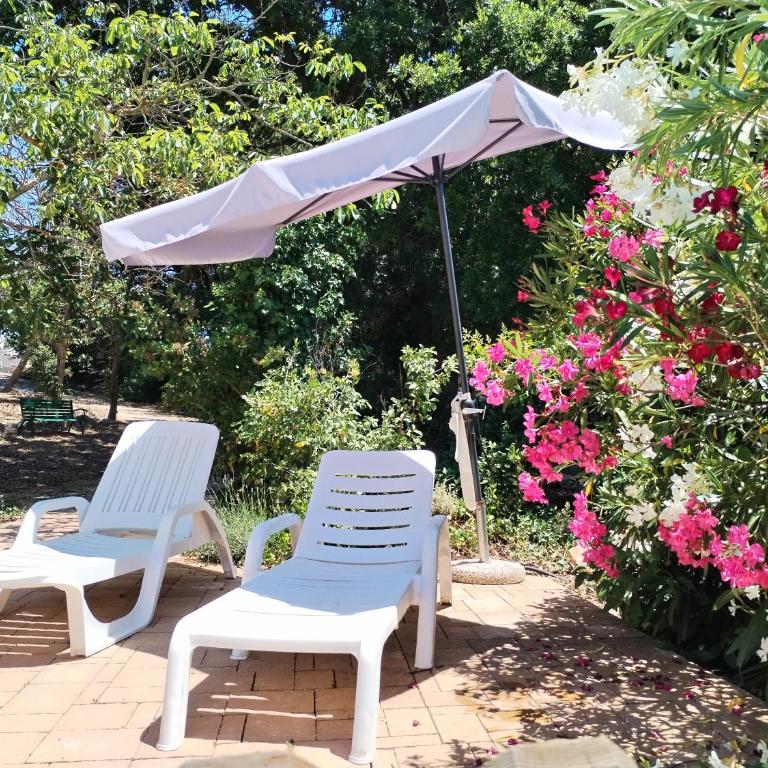 Trulli con piscina privata - Casa con 4 camere da letto - 21