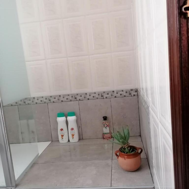 ENTIRE APARTMENT FOR THOSE WHO LOVE PEACE AND QUIEt - Apartamento de 1 dormitorio - 9