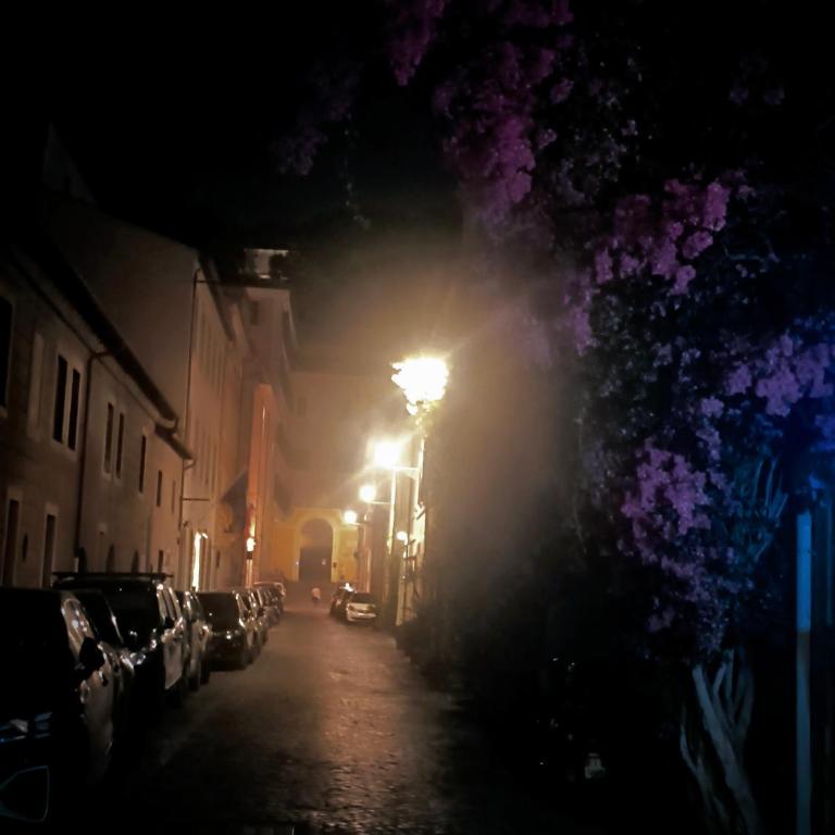 TRASTEVERE URBAN SUITE - Appartamento con 1 Camera da Letto - 63