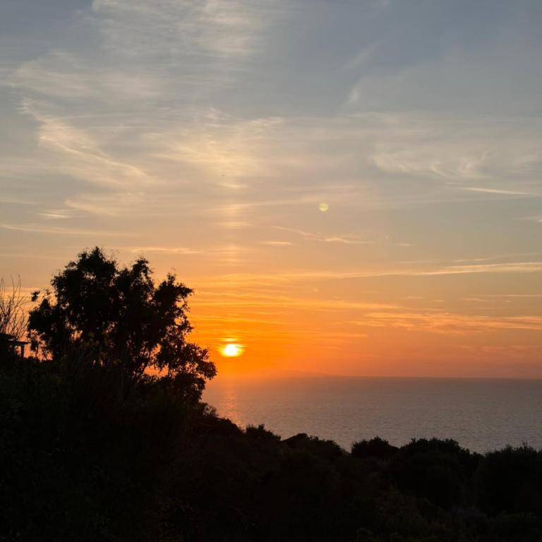 Castelsardo Homes - Appartamento con 1 Camera da Letto - 14