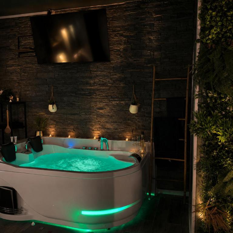 Appartement love room Perpignan cosy jacuzzi parking privée - Apartment mit 1 Schlafzimmer - 5