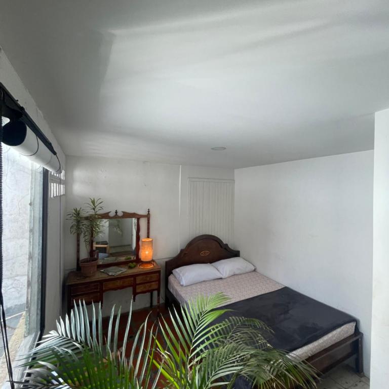 Hostal Casa Las Tías - Budget Single Room - 1