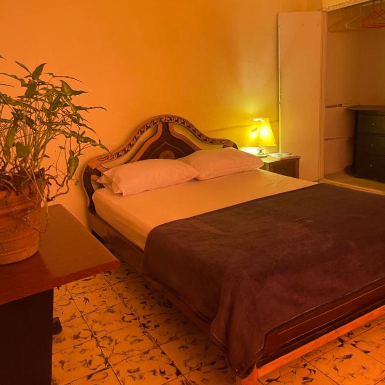 Hostal Casa Las Tías - Budget Single Room - 6