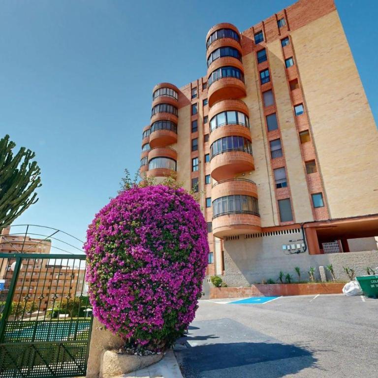 Mirasol bellavista 156 - Apartamento con vistas al mar - 43