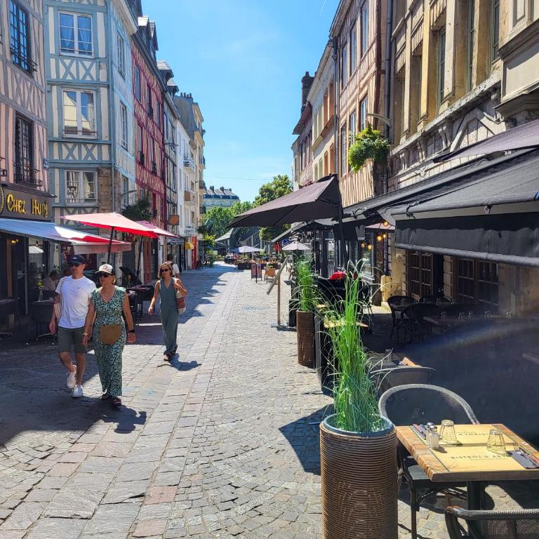Cocon Calme Centre de Rouen - One-Bedroom Apartment - 32