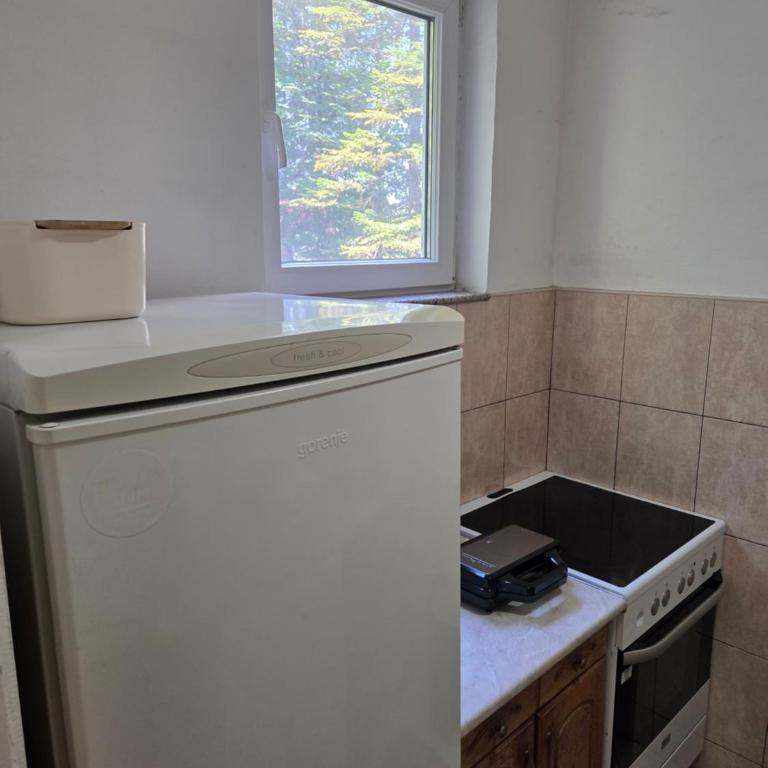Visnjik Park Prestige Apartments Sarajevo - Apartman sa 2 Spavaće Sobe - 12