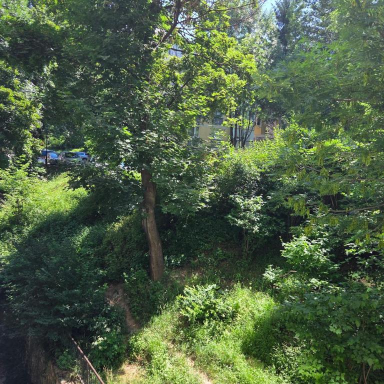 Visnjik Park Prestige Apartments Sarajevo - Apartman sa 2 Spavaće Sobe - 19