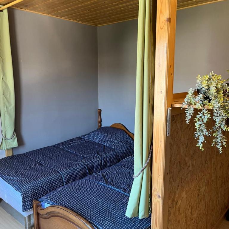 Le mignon - Appartement 1 Chambre - 3