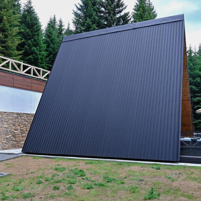 Tara mountain house Kopaonik - Two-Bedroom House - 6