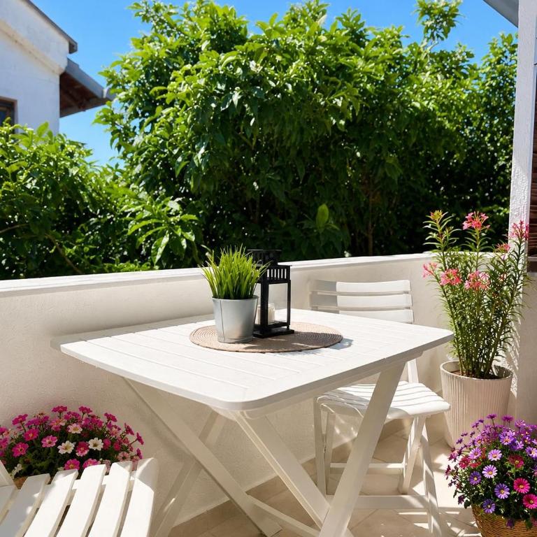 Kala Residence - Ada Bojana Suites Velika Plaža - Appartement 1 Chambre - 14