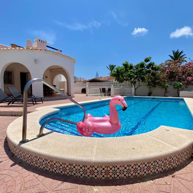 Villa Casa Mia with privat pool Torrevieja - Villa con piscina privada - 30