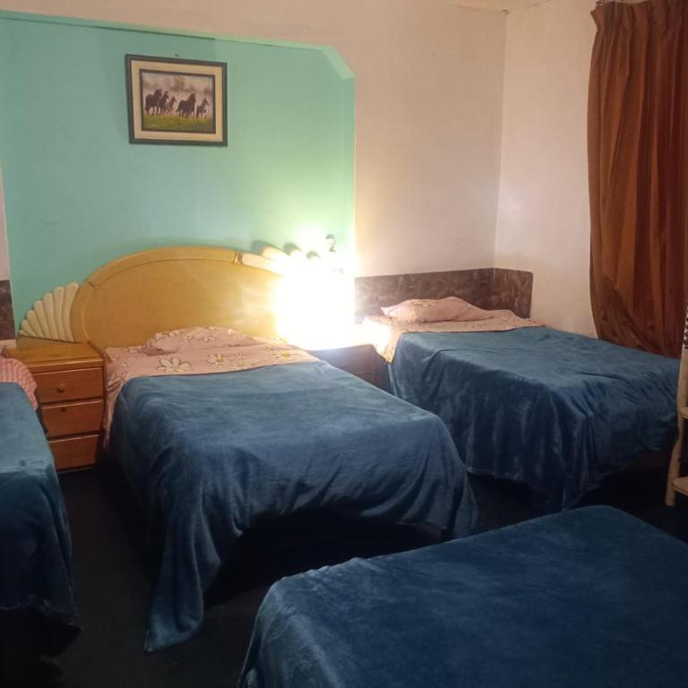 Il Riposo - 8-Bed Mixed Dormitory Room - 9