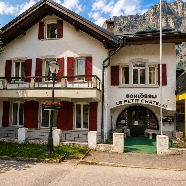 Schlossli-Le Petit Chateau - Apartment mit 2 Schlafzimmern und Bergblick - 1