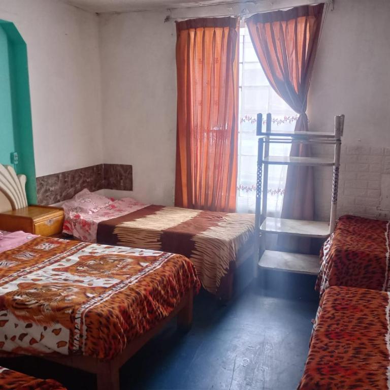 Il Riposo - Bed in 4-Bed Mixed Dormitory Room - 15