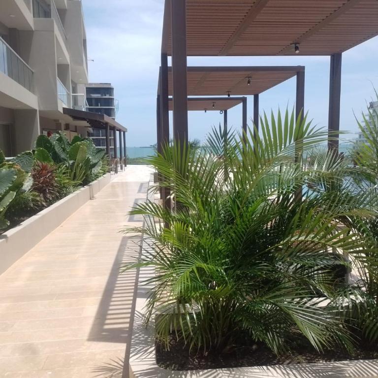 Magnifico Playa Dormida - One-Bedroom Apartment - 29