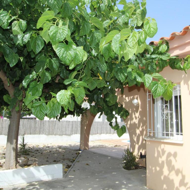 Casa cerca del mar con piscina privada, wifi gratis, aire opcional, admite mascotas y playa para perros - ES-184-4 - Villa - 24