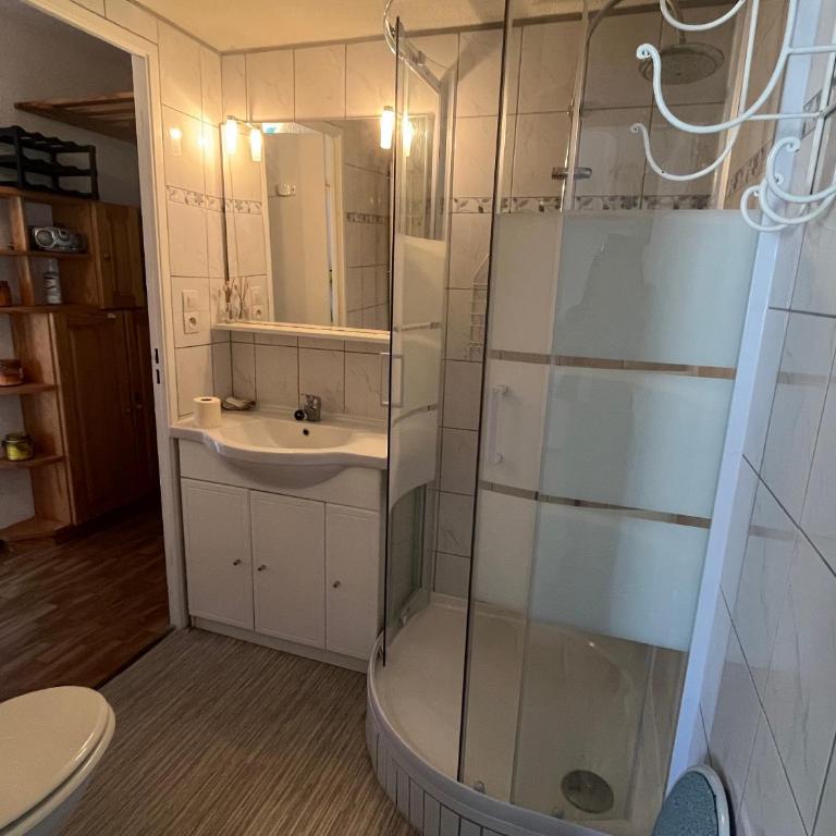 Appartement rénové cœur de Seignosse, animaux acceptés, parking inclus - FR-1-239-107 - Appartamento con 1 Camera da Letto - 19