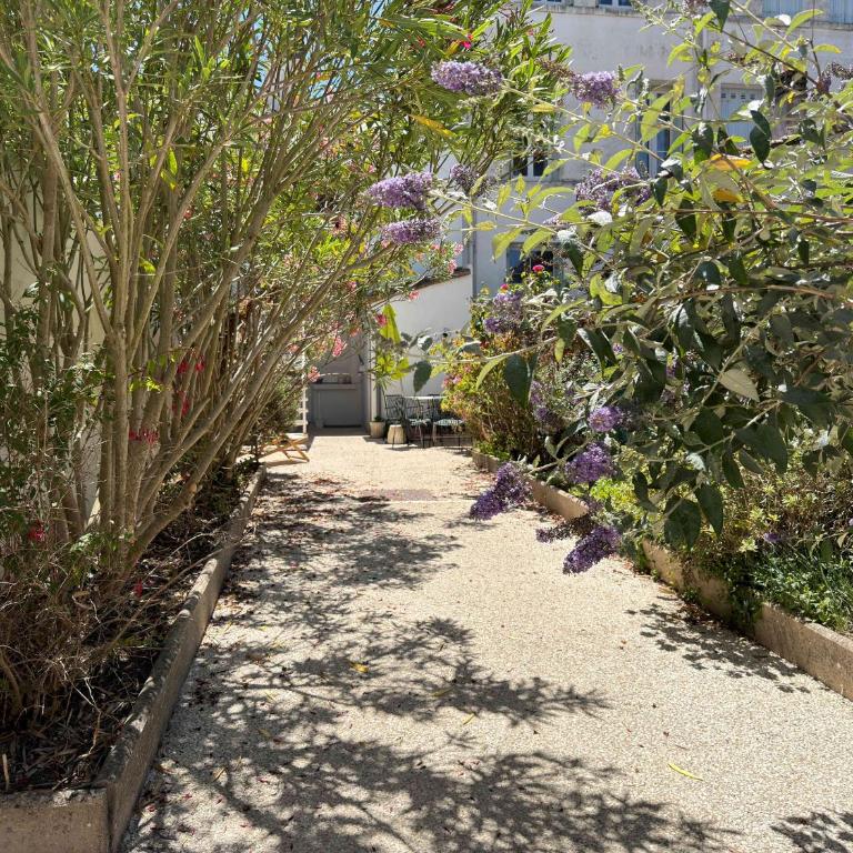 Appartement charmant proche plage - 2 pers. - FR-1-71-113 - Appartement - 1