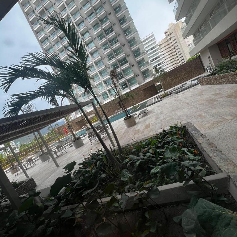 Apartamento espectacular en santa marta frente al Hilton con rooftop de lujo - One-Bedroom Apartment - 57