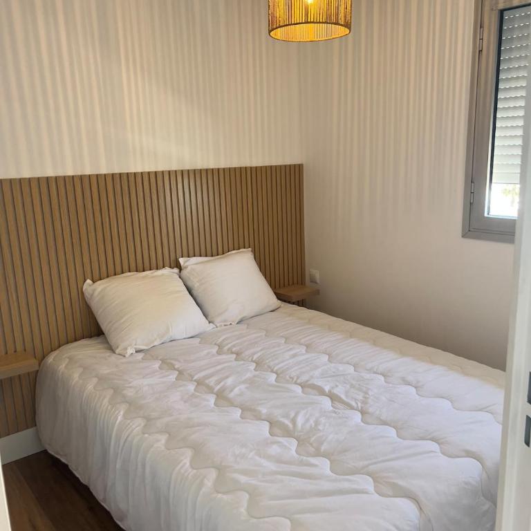 Sea view apartment with direct beach access for 4 people - Apartment mit 1 Schlafzimmer - 9