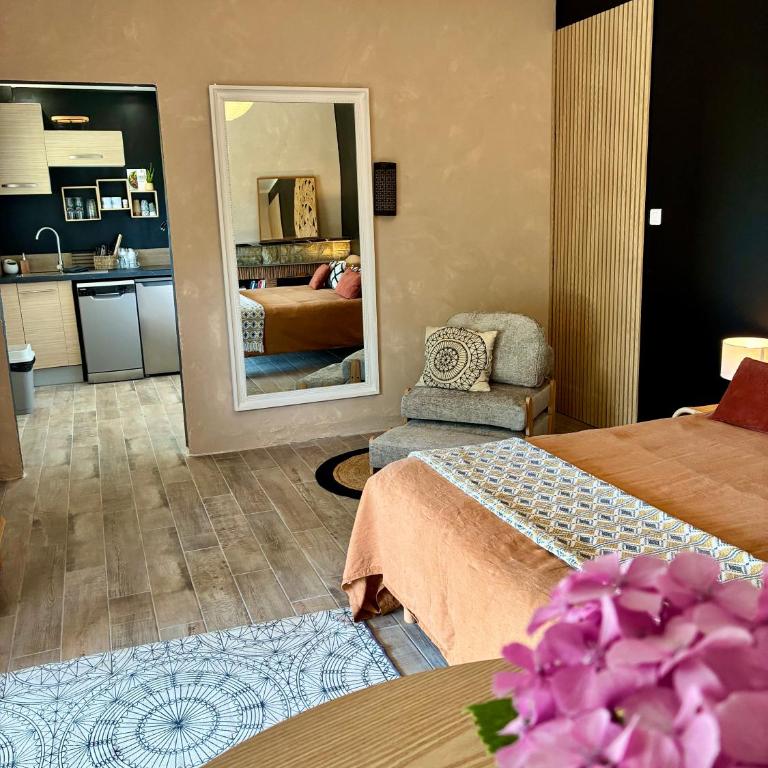 Appart vue Cité, balnéo privée, clim, jardin, parking gratuit - Studio - 4