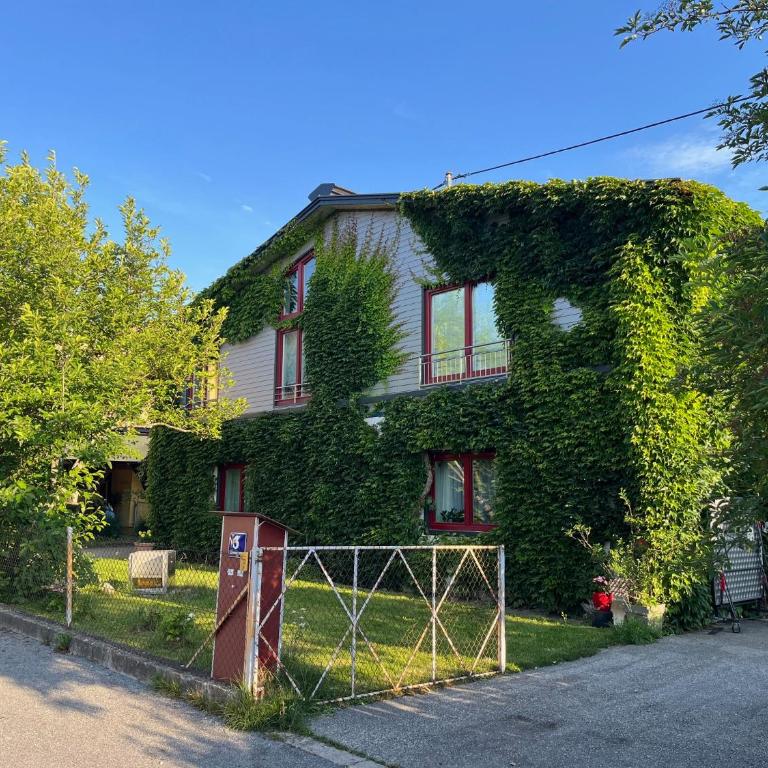 Vintage studio apartment - Ferienwohnung - Apartment mit 1 Schlafzimmer - 1