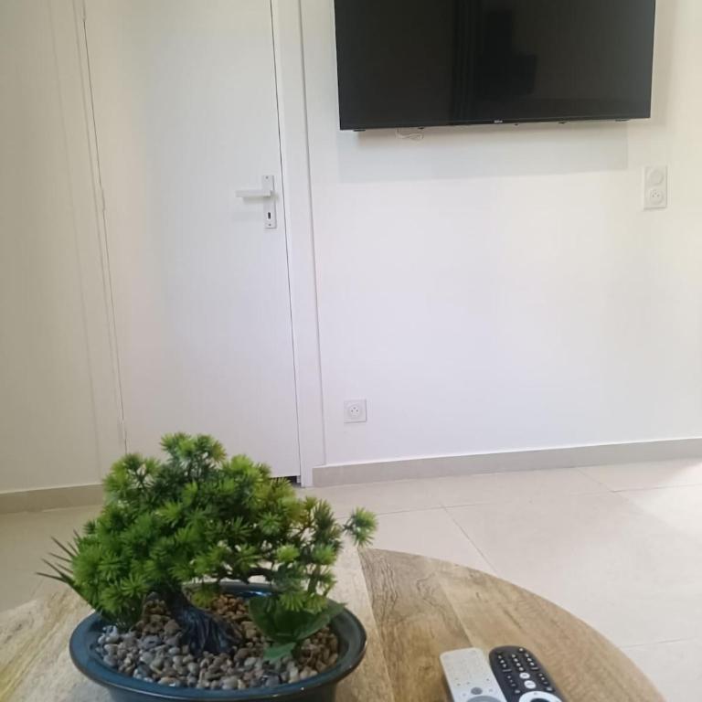 designer - Appartement 1 Chambre - 16
