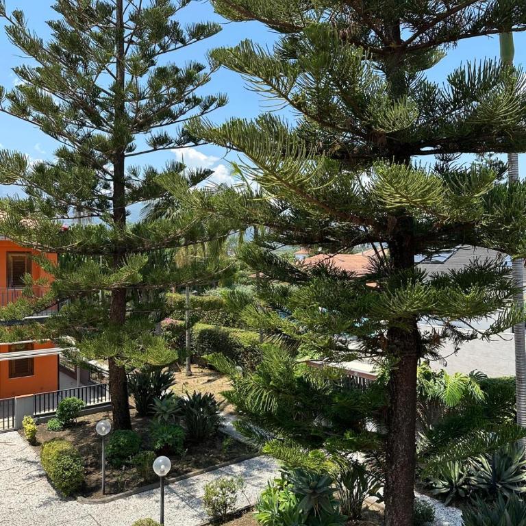 Casa Le Araucarie - Casa con 2 Camere da Letto - 2