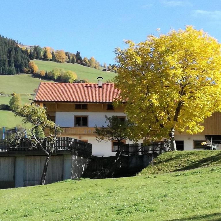 Ferienwohnung Hörl Josef - Appartamento con doccia - 1