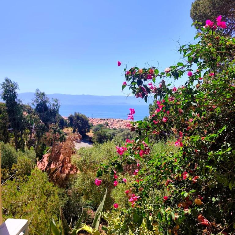 Premium - 1 bedroom apartment - Panoramic Sea View at Les Sanguinaires - Appartement 1 Chambre - 3