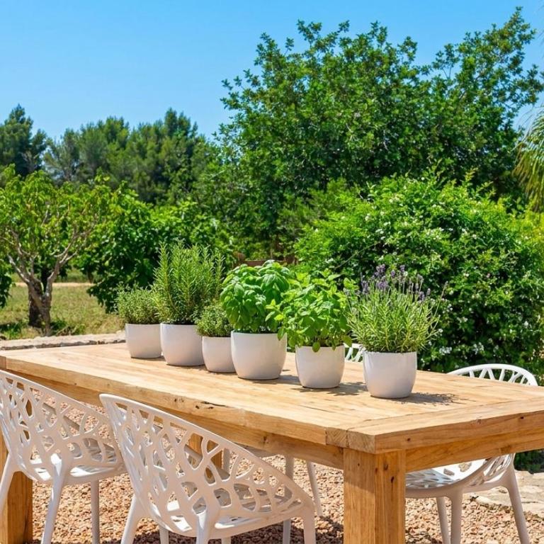Villa Can Pep Sa Guaita - Curated Design & Outdoor Area 10 minutes from beaches, Calm Area - Villa con piscina privada - 46