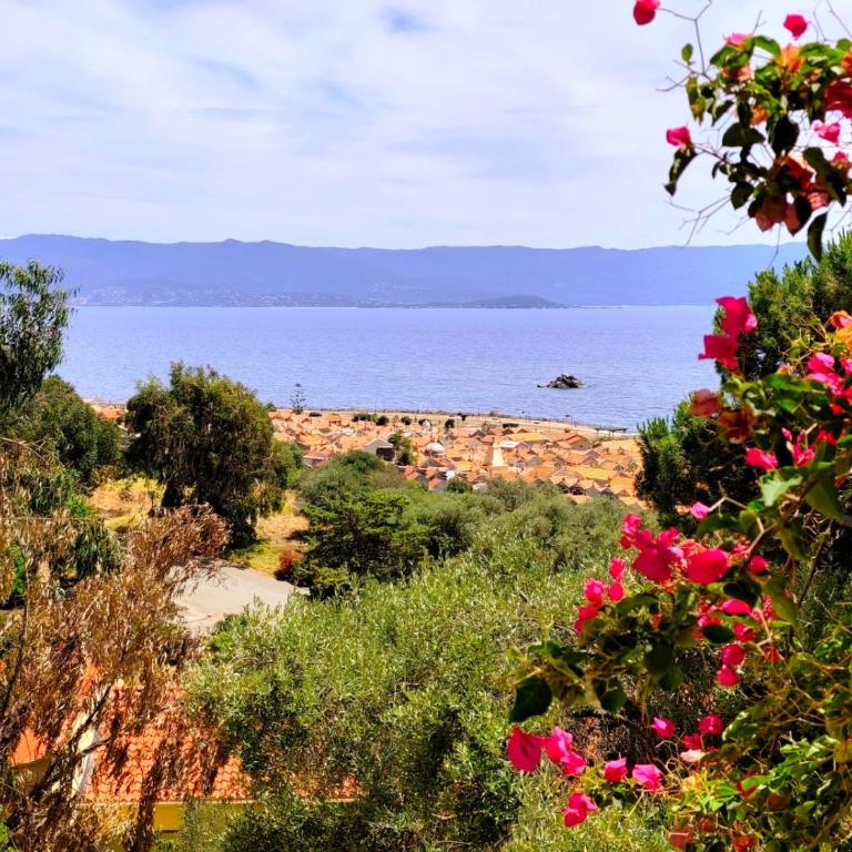 Premium - 1 bedroom apartment - Panoramic Sea View at Les Sanguinaires - Appartement 1 Chambre - 39