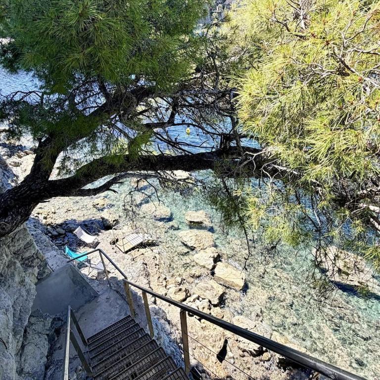 Cap-Ferrat Waterfront Villa-Private Sea Access - Villa - Vue sur Mer - 54