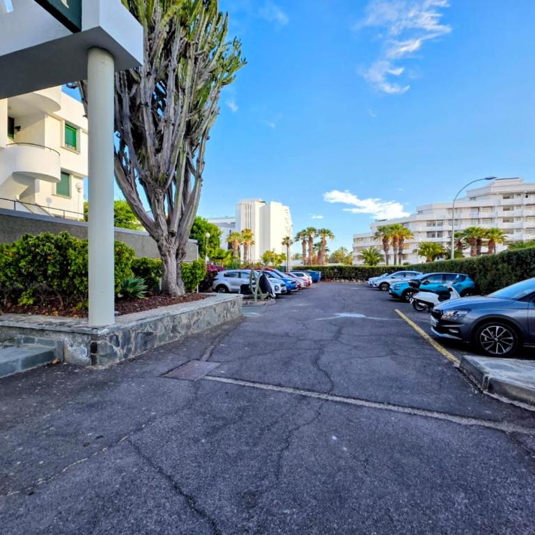 Optimist C-44 - Apartamento de 1 dormitorio - 21