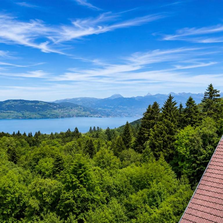 Vue Lac Léman & Télécabine à 1 minute - Appartement 2 Chambres - Vue sur Lac - 24