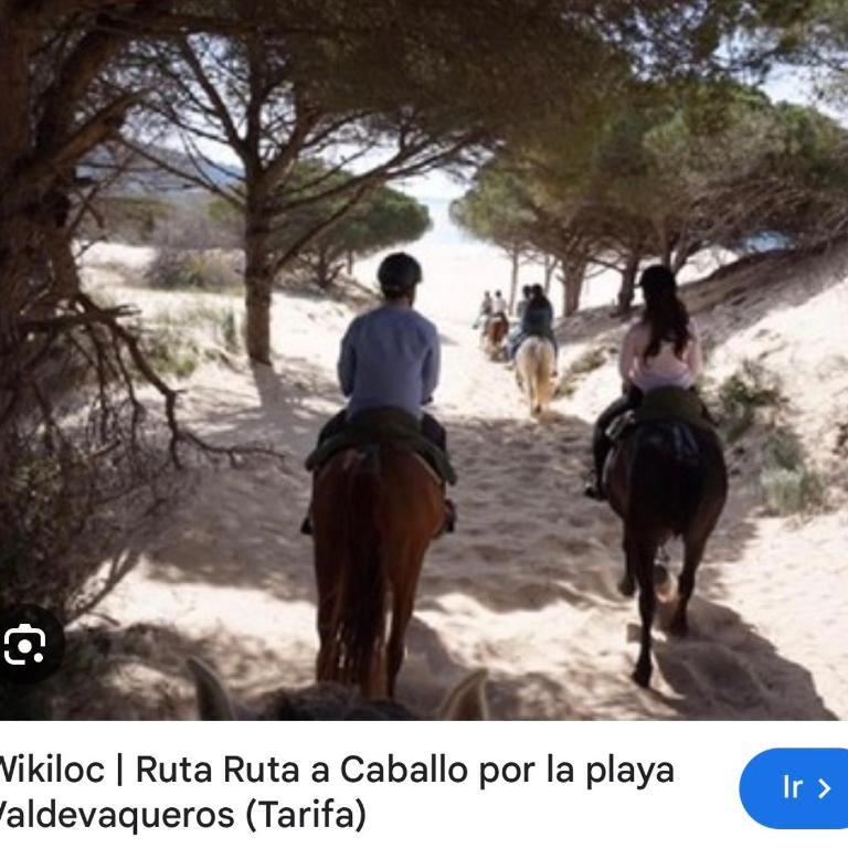 Arcos de Tarifa, Casco historico, aparcamiento - Apartamento de 1 dormitorio - 6