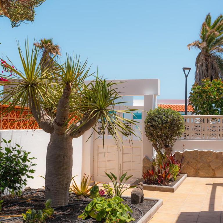 Beach house with the heated pool next to Rocky Point - Villa Deluxe - 57