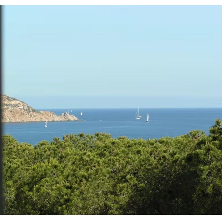 Grand T1 Bord de mer - Studio - 4