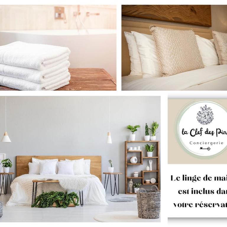 Le petit Joffre - Appartement 2 Chambres - 3