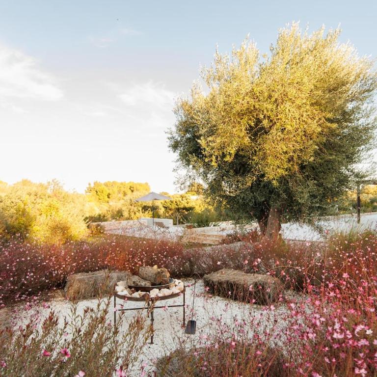 Trullo in Villa Ninetta shared property - Apartamento de 2 dormitorios - 70