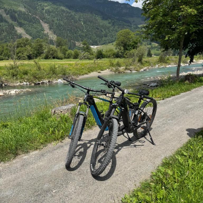 Apartment Ramazotti - Gasteiner Bergzeit & Alpentherme inklusive - Apartment mit 2 Schlafzimmern und Terrasse - 14