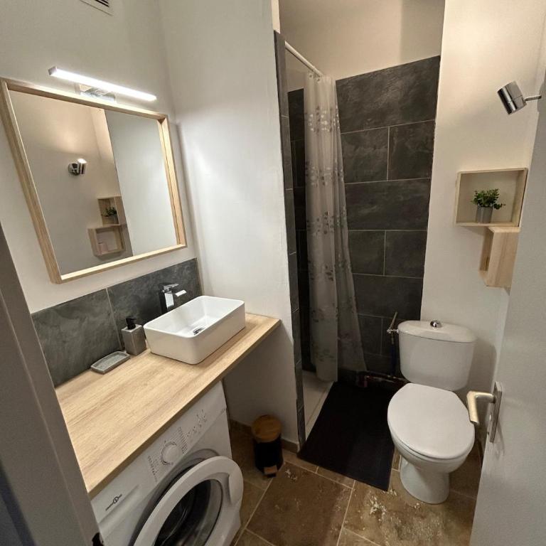 Studio Occitanie-Hopitaux-Facultés & Parking gratuit - Apartment mit 1 Schlafzimmer - 8
