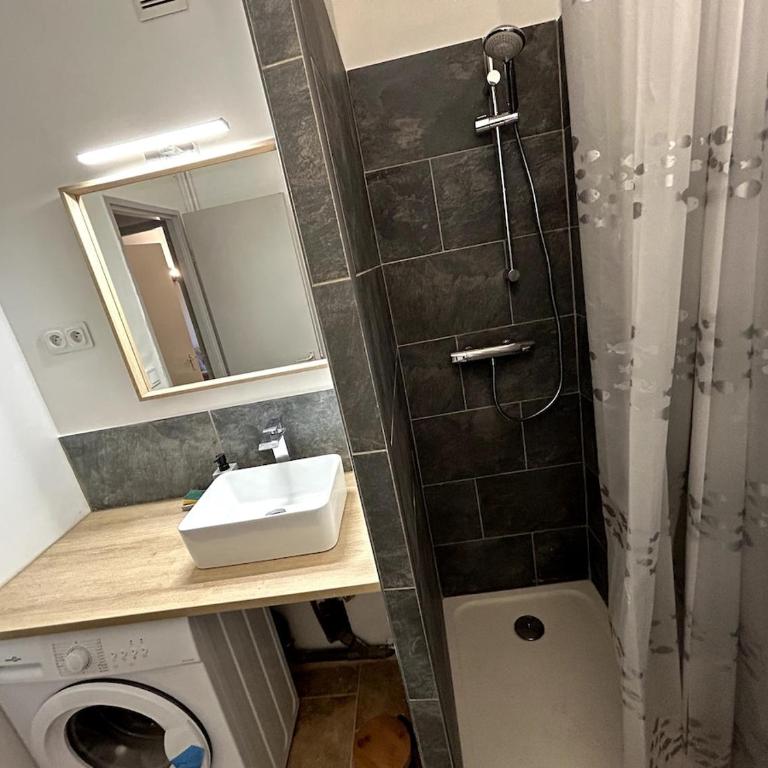 Studio Occitanie-Hopitaux-Facultés & Parking gratuit - Apartment mit 1 Schlafzimmer - 7