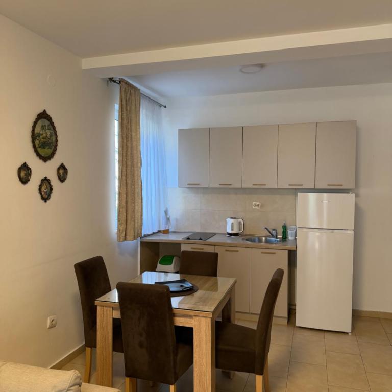 Apartmani Kovačević - Apartman s 1 Spavaćom Sobom i Terasom - 12