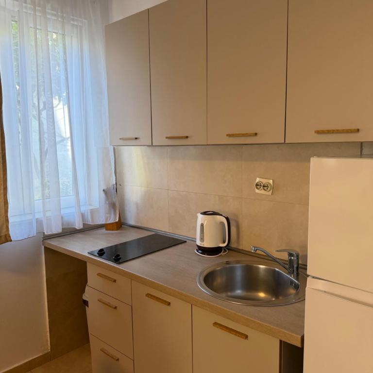 Apartmani Kovačević - Apartman s 1 Spavaćom Sobom i Terasom - 10