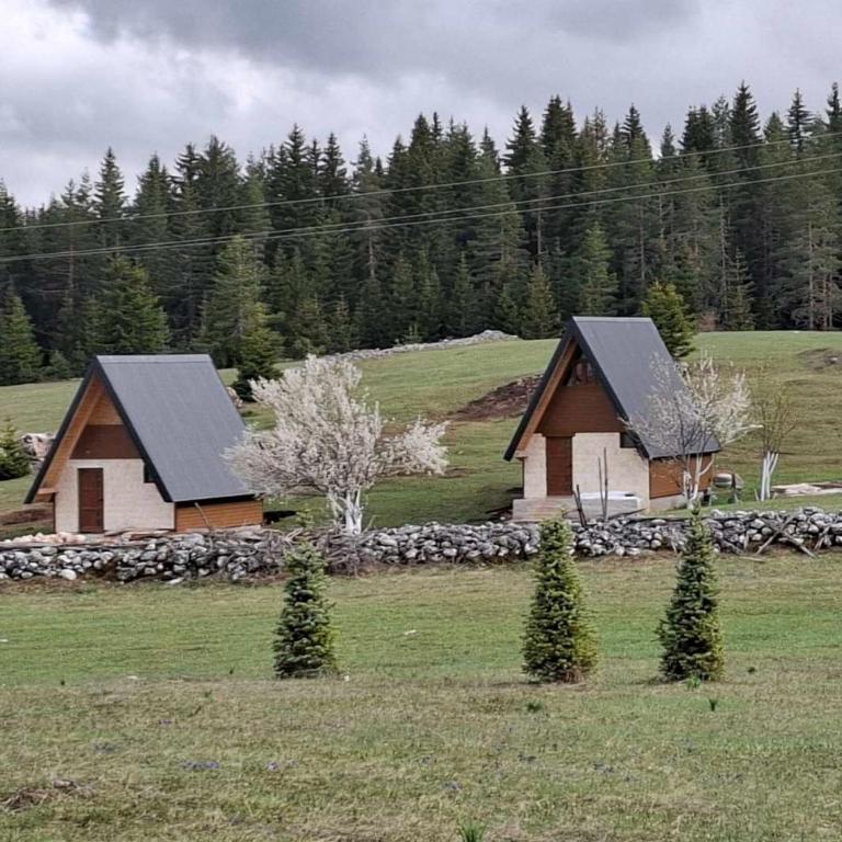 Village house Popovic - Vikendica - 11