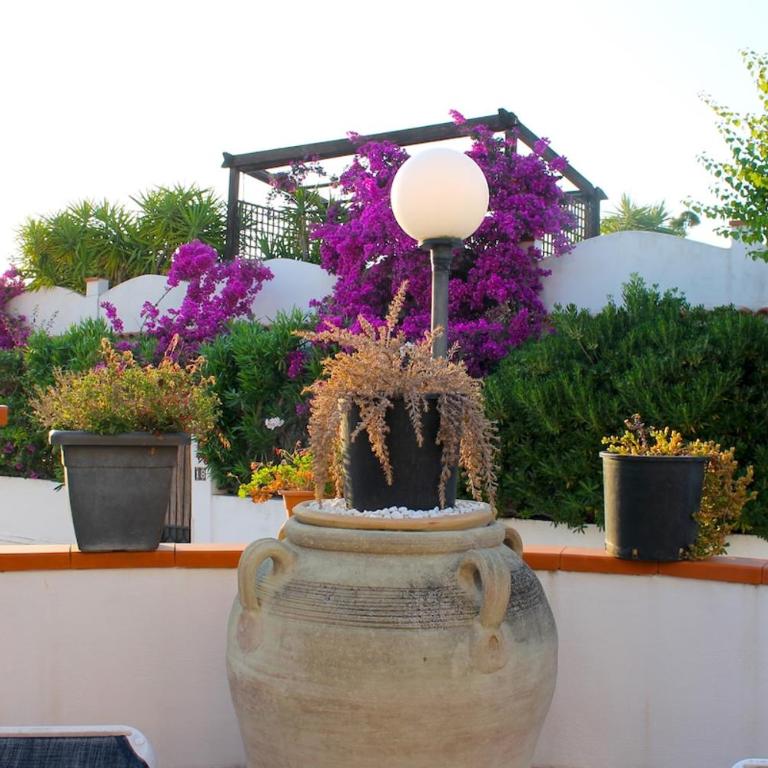 William's Holiday Home- Peschici - Three-Bedroom House - 3