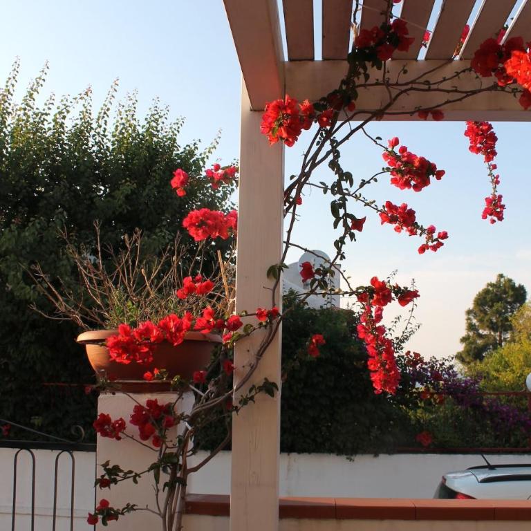William's Holiday Home- Peschici - Three-Bedroom House - 5