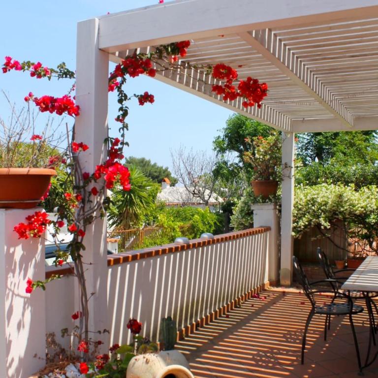 William's Holiday Home- Peschici - Three-Bedroom House - 21